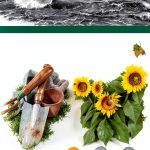 David & Charles Still Life Kindle Book 303 Pages Enhanced Typesetting-0