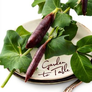 Canadian Cooking Illustrated eBook by New Society Publishers 536 Pages-0